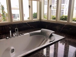 The Legend (D10), Condominium #304792691